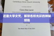 名校通行证，近畿大学文凭，开启精英教育之门