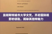 曼大文凭，打开全球视野之门的钥匙，探寻其非凡魅力