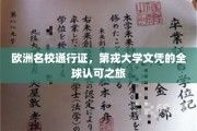 跨国学历通行证，第戎大学文凭的全球影响力探索