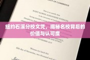 石溪名校光环，纽约分校文凭的价值探索与全球认可深度解析