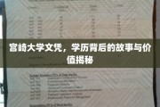 宫崎大学文凭背后的传奇，探寻学历的深层价值与真实故事