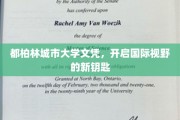 解锁全球视野，都柏林城市大学文凭，引领未来之门