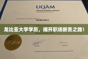 龙比亚学位引领，职场新贵速成攻略大揭秘！