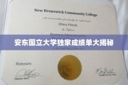 安东国立大学成绩单背后的秘密揭晓！
