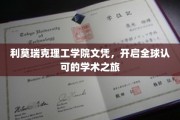 全球通行证，利莫瑞克理工学院文凭引领国际学术新篇章