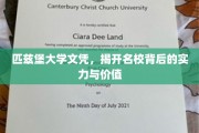 匹兹堡大学文凭，解码名校光环下的实力与价值