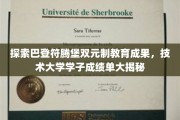 巴登符腾堡教育奇迹，技术大学精英表现背后的双元制奥秘