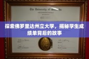 解码佛罗里达州立大学，揭开学生成绩单的隐藏秘密