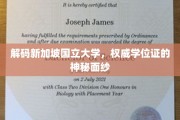 新加坡国立大学学位证背后的非凡奥秘大揭秘