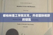 都柏林理工学院文凭，解锁全球视野的通行证