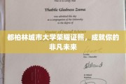 都柏林城市大学荣耀学位，开启非凡职业生涯新篇章