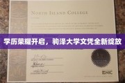 驹泽大学新篇章，荣耀学历绽放，未来成就启航