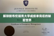揭开布伦瑞克大学成绩单的神秘面纱，探索学术成就的深层世界
