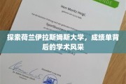 解码荷兰伊拉斯姆斯大学，揭秘学霸背后的学术魅力