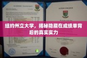 揭开纽约州立大学成绩单背后的卓越潜能