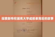 揭秘新布伦瑞克大学成绩单背后的神秘面纱