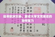 欧洲文脉传承之光，第戎大学文凭的神秘吸引力