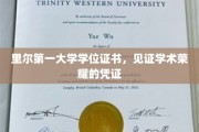 学位荣耀凭证，里尔第一大学颁发学术成就的见证证书