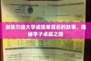 解码谢菲尔德精英，揭秘学子成就背后的非凡历程
