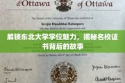 东北名校魅力揭秘，学位证书背后的不凡历程