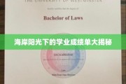 海岛骄阳下的学霸秘密档案公开！
