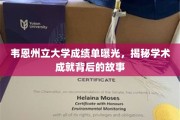 韦恩州立大学成绩单大揭秘，探寻学术成就背后的真实历程