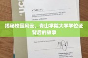 青山学府秘闻录，学位证背后的传奇风云
