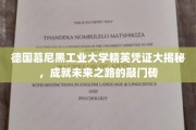 慕尼黑工业大学精英通行证，解锁未来成功之门