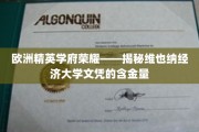 维也纳经济大学，欧洲精英学府的璀璨明珠，揭秘文凭背后的价值与魅力