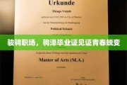 骏骋职场，毕业证映照青春华丽转身
