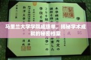 马里兰大学学院成绩单背后的学术成就密码大揭秘