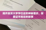 揭秘丽泽学位证，一纸证书背后的大学传奇