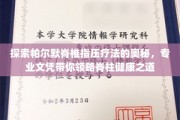 解锁脊柱健康，帕尔默指压疗法奥秘之旅，专业文凭助你登峰造极