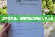 文凭迷雾，迈阿密风云中的大学真伪探秘之旅