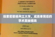 解码密歇根州立，揭开成绩单背后的学术秘密之旅