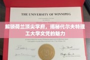 荷兰精英学府通行证，探索代尔夫特理工大学文凭的非凡价值