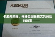 卡迪夫荣耀，探寻英国名校文凭背后的真实历程