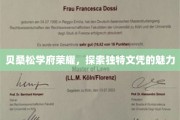 贝桑松学府风华录，一探非凡文凭背后的奥秘