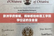 探寻都柏林理工学院学位证的欧洲黄金价值