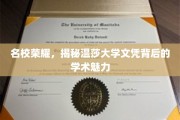 温莎大学文凭魅力揭秘，名校之光下的学术传奇