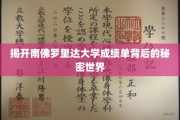 解码南佛罗里达大学成绩单的神秘面纱