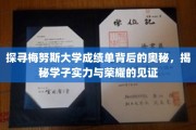 解码梅努斯大学成绩单，学子荣耀与实力的无声宣言
