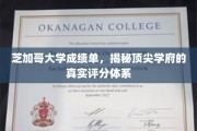 揭秘芝加哥大学评分奥秘，揭秘顶尖学府背后的评分体系真相