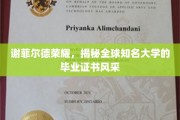 谢菲尔德之光，全球名校毕业证书魅力大揭秘