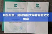 东京情报大学，揭秘文凭背后的神秘魅力