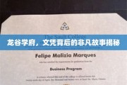 龙谷学府，文凭背后的传奇旅程大揭秘