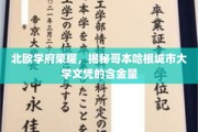 哥本哈根城市大学文凭，北欧教育精英的全球通行证