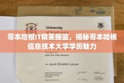 解码哥本哈根IT精英养成记，揭秘哥本哈根信息技术大学的魅力所在