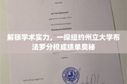 探寻纽约州立大学布法罗分校的学术密码，揭秘卓越成绩单背后的秘密