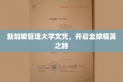 新加坡管理大学文凭，解锁国际职场精英新篇章